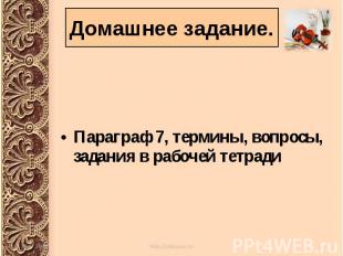 Параграф 7, термины, вопросы, задания в рабочей тетради