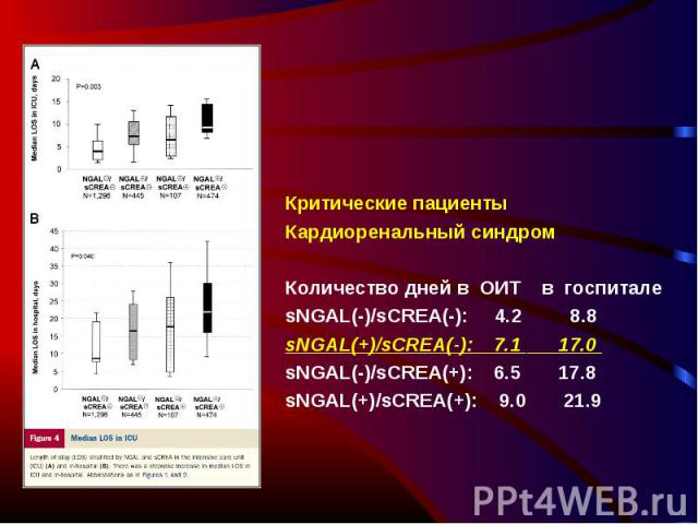 Критические пациенты Кардиоренальный синдром Количество дней в ОИТ в госпитале sNGAL(-)/sCREA(-): 4.2 8.8 sNGAL(+)/sCREA(-): 7.1 17.0 sNGAL(-)/sCREA(+): 6.5 17.8 sNGAL(+)/sCREA(+): 9.0 21.9