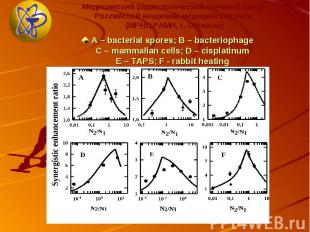 A – bacterial spores; B – bacteriophage C – mammalian cells; D – cisplatinum E –