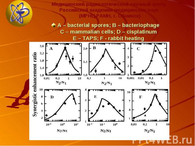 A – bacterial spores; B – bacteriophage C – mammalian cells; D – cisplatinum E – TAPS; F - rabbit heating A – bacterial spores; B – bacteriophage C – mammalian cells; D – cisplatinum E – TAPS; F - rabbit heating