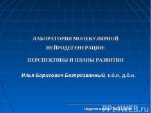 Лаборатория молекулярной неродегенерации: перспективы и планы развития