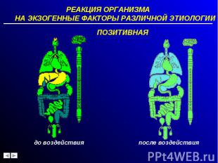 РЕАКЦИЯ ОРГАНИЗМА НА ЭКЗОГЕННЫЕ ФАКТОРЫ РАЗЛИЧНОЙ ЭТИОЛОГИИ РЕАКЦИЯ ОРГАНИЗМА НА