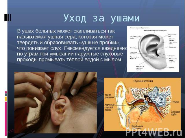 В ушах больных может скапливаться так называемая ушная сера, которая может твердеть и образовывать «ушные пробки», что понижает слух. Рекомендуется ежедневно по утрам при умывании наружные слуховые проходы промывать тёплой водой с мылом. В ушах боль…