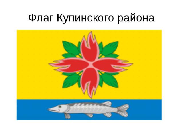 Флаг Купинского района