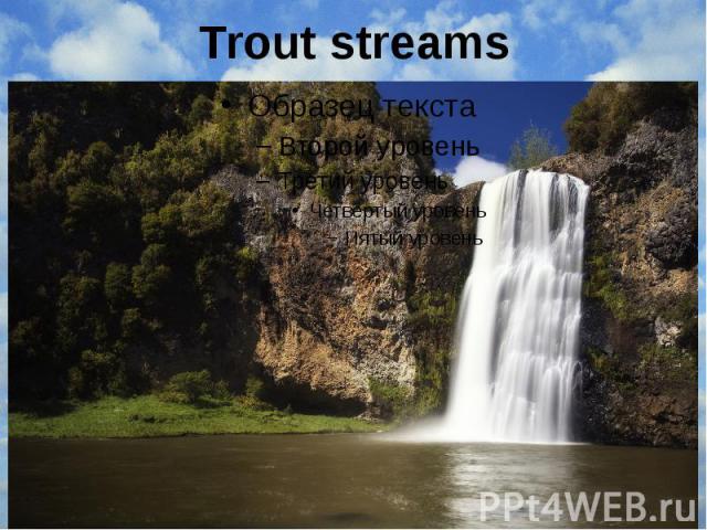 Trout streams