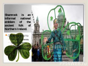 Shamrock is an informal national emblem of the ancient folk of Northern Ireland.