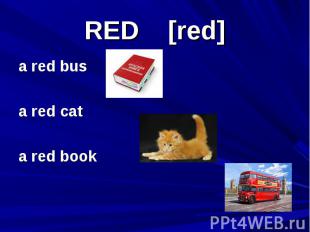 RED [red] a red bus a red cat a red book
