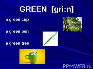 GREEN [gri:n] a green cup a green pen a green tree