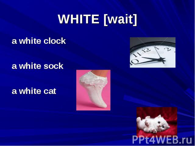 WHITE [wait] a white clock a white sock a white cat