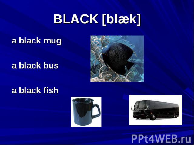 BLACK [blæk] a black mug a black bus a black fish