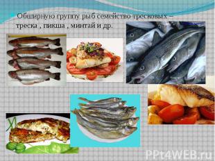 Обширную группу рыб семейство тресковых – треска , пикша , минтай и др. Обширную