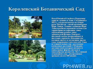 Royal Botanical Garden в Перадении один из лучших в Азии. Созданный в 1821 г, са
