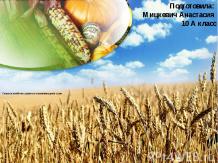 Сельское хозяйство развитых и развивающихся стран