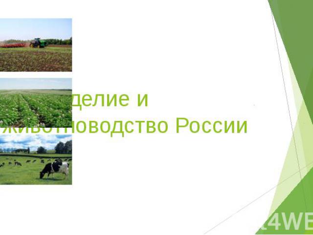 Земледелие и животноводство России