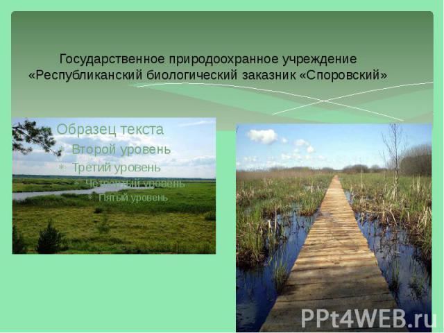 Государственное природоохранное учреждение «Республиканский биологический заказник «Споровский»