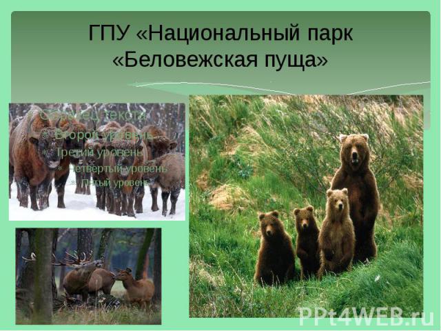 ГПУ «Национальный парк «Беловежская пуща»