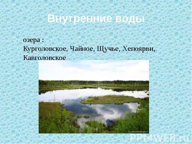 Внутренние воды озера : Курголовское, Чайное, Щучье, Хепоярви, Кавголовское