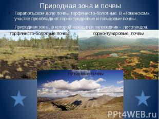 Природная зона и почвы Парапольском доле почвы торфянисто-болотные. В «Говенском