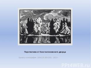 Перспектива от Константиновского дворца Бумага, ксилография. 180х135 (65х100) .&