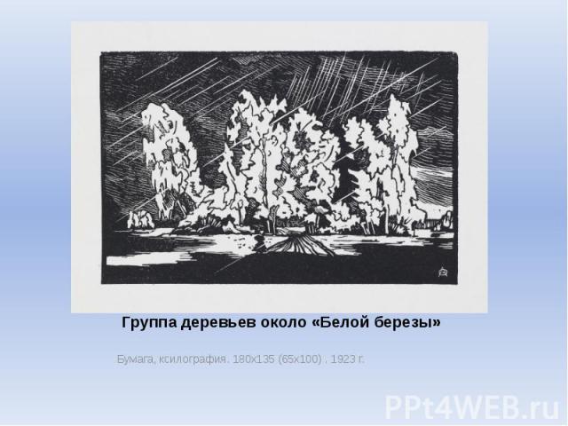 Группа деревьев около «Белой березы» Бумага, ксилография. 180х135 (65х100) . 1923 г.