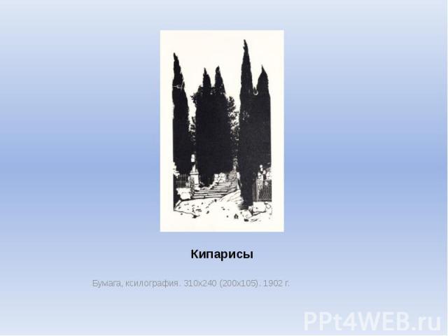 Кипарисы Бумага, ксилография. 310х240 (200х105). 1902 г.