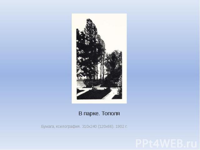 В парке. Тополя Бумага, ксилография. 310х240 (120х66). 1902 г.