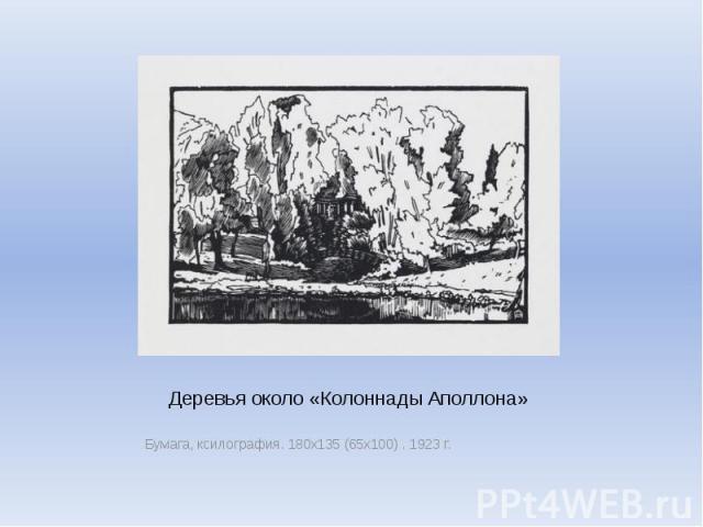 Деревья около «Колоннады Аполлона» Бумага, ксилография. 180х135 (65х100) . 1923 г.