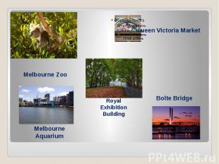 Queen Victoria Market Melbourne Zoo