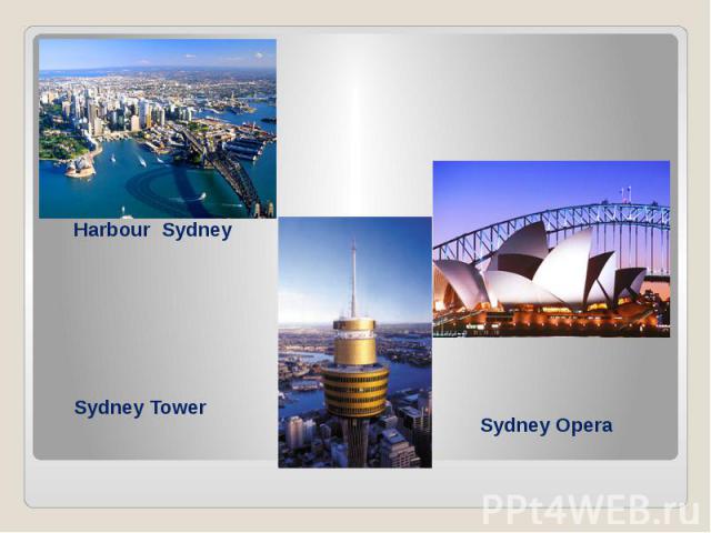 Sydney Tower Sydney Opera