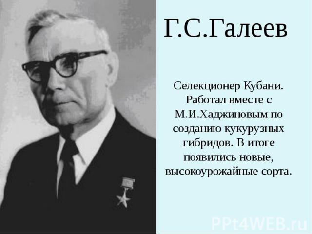 Г.С.Галеев Селекционер Кубани. Работал вместе с М.И.Хаджиновым по созданию кукурузных гибридов. В итоге появились новые, высокоурожайные сорта.