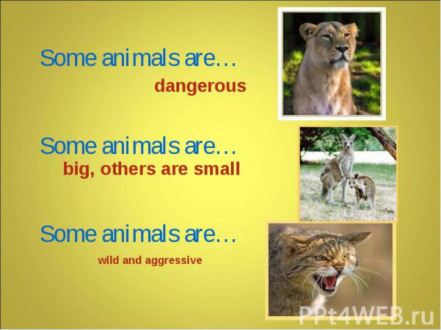 Some animals are… Some animals are… Some animals are… dangerous