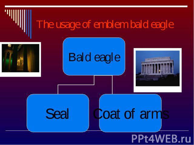 The usage of emblem bald eagle
