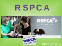Экологическая организация RSPCA