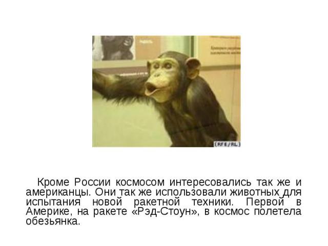 Кроме России космосом интересовались так же и американцы. Они так же использовали животных для испытания новой ракетной техники. Первой в Америке, на ракете «Рэд-Стоун», в космос полетела обезьянка. Кроме России космосом интересовались так же и амер…
