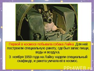Первой в космосе побывала собака Лайка. Для неё построили специальную ракету, гд