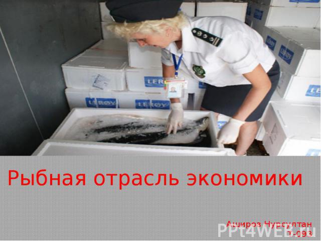 Рыбная отрасль экономики Аширов Нурсултан Т-093