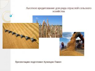 Льготное кредитование для ряда отраслей сельского хозяйства Презентацию подготов