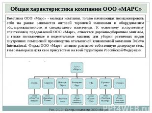 Общая характеристика компании ООО «МАРС»