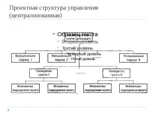 Проектная структура управления (централизованная)
