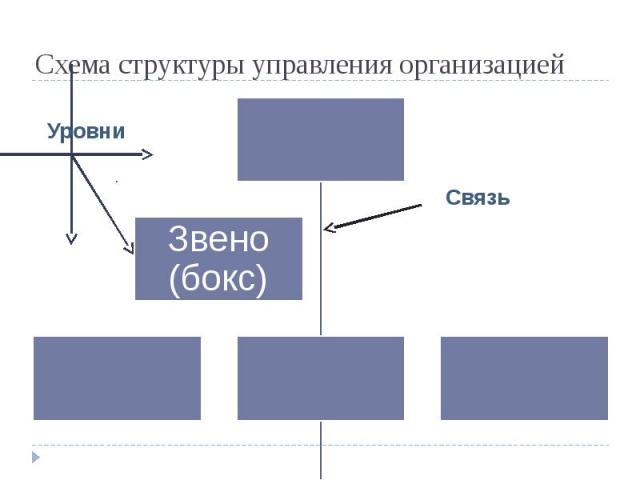 Схема структуры управления организацией