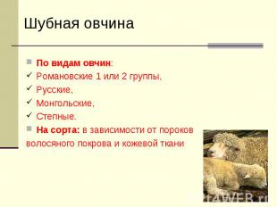 По видам овчин: По видам овчин: Романовские 1 или 2 группы, Русские, Монгольские