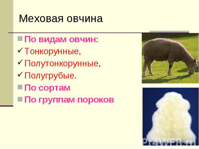 По видам овчин: По видам овчин: Тонкорунные, Полутонкорунные, Полугрубые. По сортам По группам пороков