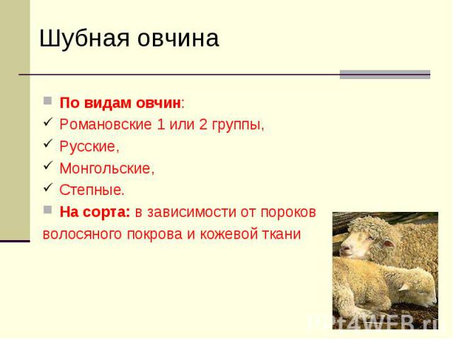 По видам овчин: По видам овчин: Романовские 1 или 2 группы, Русские, Монгольские, Степные. На сорта: в зависимости от пороков волосяного покрова и кожевой ткани