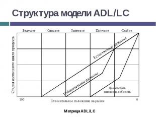 Структура модели ADL/LC