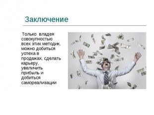 Только владея совокупностью всех этих методик, можно добиться успеха в продажах,