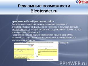 Рекламные возможности Bicotender.ru