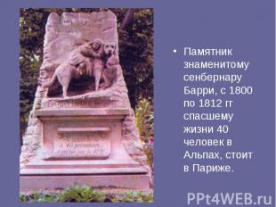 Памятник знаменитому сенбернару Барри, с 1800 по 1812 гг спасшему жизни 40 челов