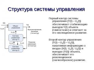 Первый контур системы управления {Y(t)→U10(t)} обеспечивает стабилизацию выходов