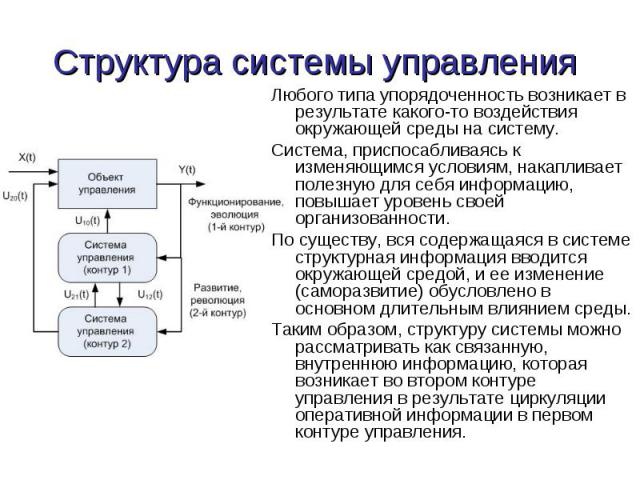 Любого типа упорядоченность возникает в результате какого-то воздействия окружающей среды на систему. Любого типа упорядоченность возникает в результате какого-то воздействия окружающей среды на систему. Система, приспосабливаясь к изменяющимся усло…