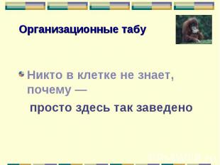 Никто в клетке не знает, почему — просто здесь так заведено